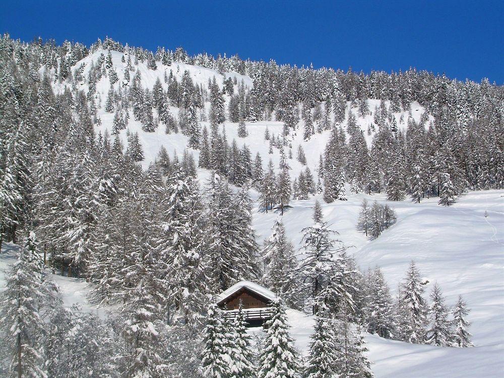 Affittacamere Buenavista Guest House Champoluc Zewnętrze zdjęcie